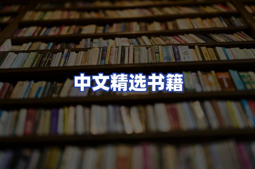 中文精选书籍